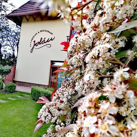 Jolán Pension&restaurant Affittacamere Cicov