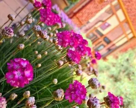 Jolan & Restaurant בית הארחה Cicov