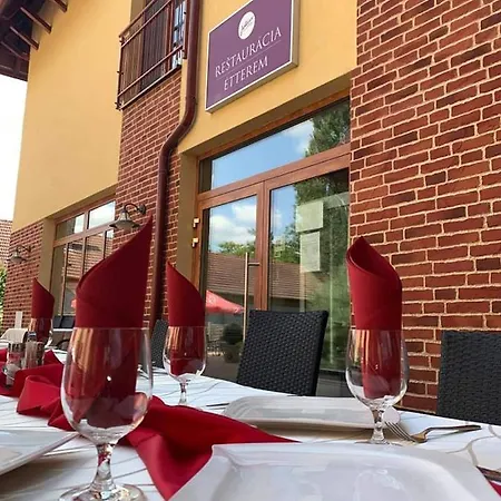 Jolán Pension&restaurant Affittacamere Cicov